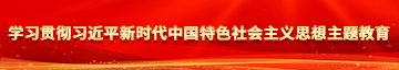 污男娘视频下载学习贯彻习近平新时代中国特色社会主义思想主题教育